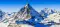 leonin_2637
