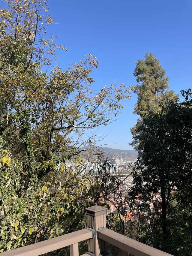 Xishan Forest Hike, Kunming 🍃⛰️