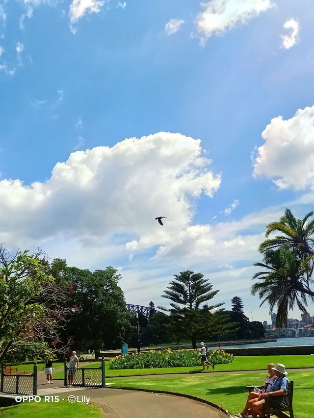 Sydney Royal Botanic Garden