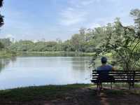 São Paulo · Ibirapuera Park