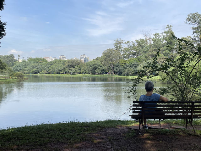 São Paulo · Ibirapuera Park