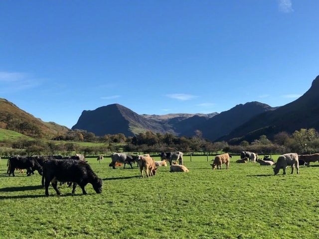 Buttermere