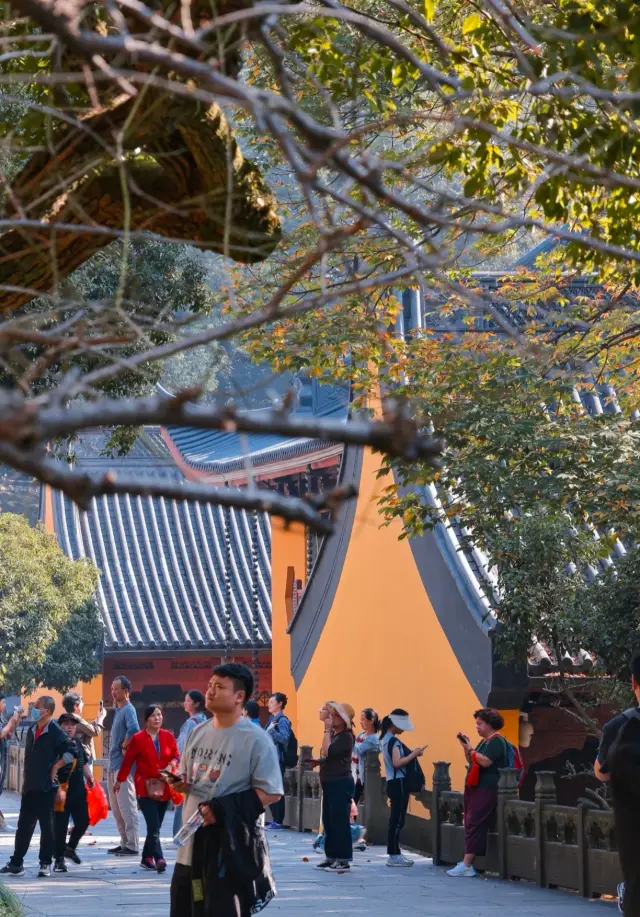杭州に来る人は誰でも一度は灵隐寺に来て、平和を祈ります
