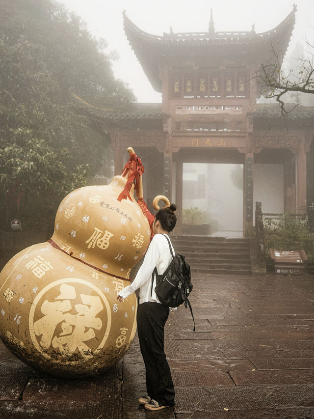 11月旅行｜這趟纜車把我帶去了雲海仙境~