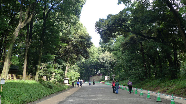 東京核心區最大的都市綠地——明治神宮