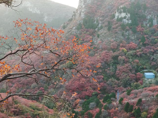 臨朐石門坊：千年古韻，紅葉仙境