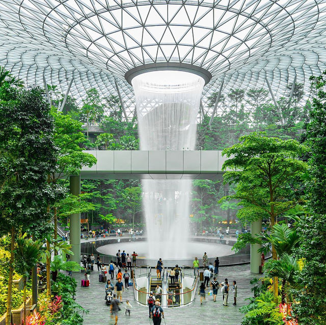 Sunrises and Sunflowers in Singapore 🌻🌞 Experiencing the Vibrant Energy of the Lion City