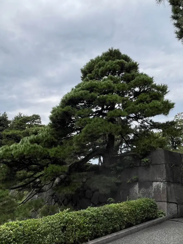 在日本沒有預約的遊客只能在外圍拍照的景點-皇居📷