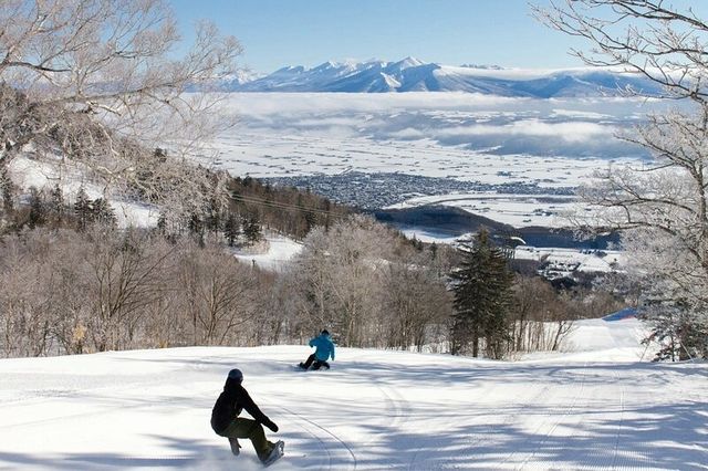 今冬最熱滑雪目的地盤點北海道