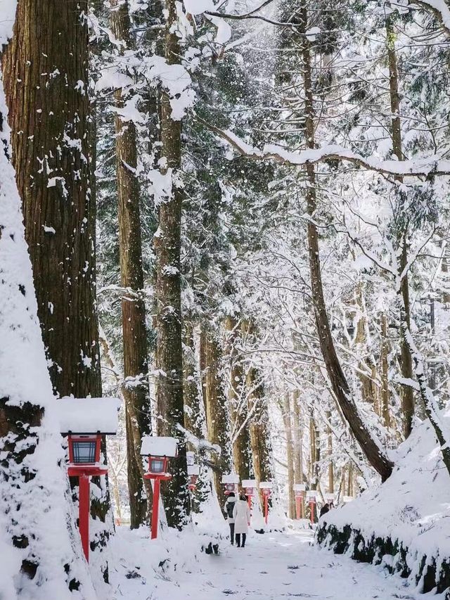 關西賞雪