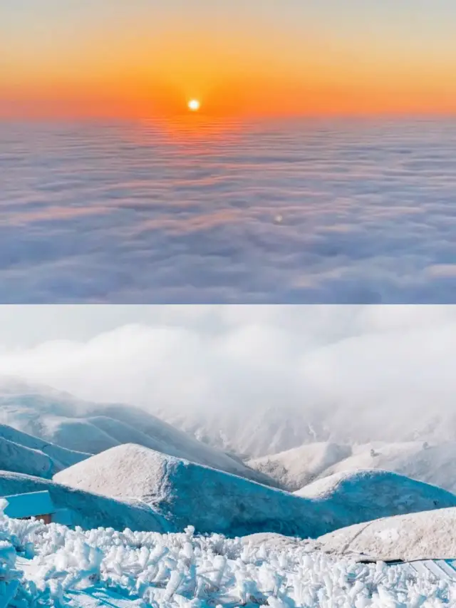 Winter Tour in Jiangxi Part 1 - Snow Viewing Guide for Pingxiang·Wugong Mountain (Recommended for Collection)