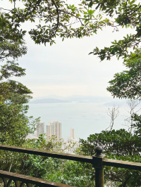 A Travel Guide for Visiting Victoria Peak