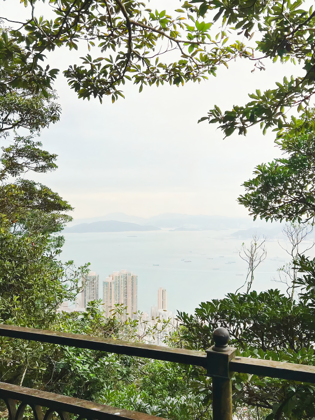 A Travel Guide for Visiting Victoria Peak