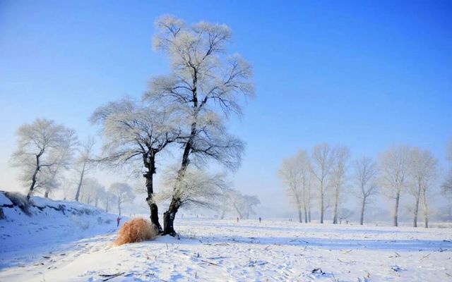 中國雪谷～霧凇嶺