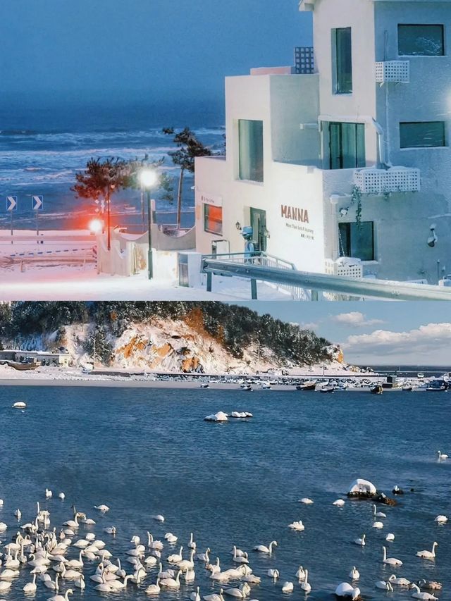 一半海水一半飄雪的城市|威海