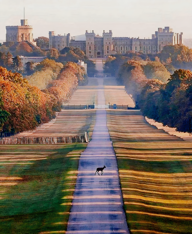 🏰 Windsor Wonders: A Royal Day Trip