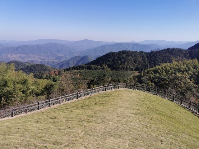 這裡絕對是帶著狗狗去旅行的絕美地方