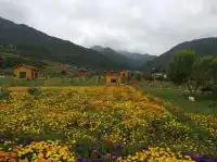 一起相約七里花海