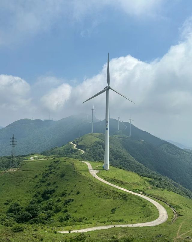 城市吸氧好地方，登高望遠…一切滿足！！！