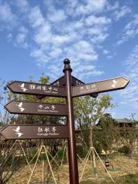 汾河雁丘園｜太原新地標，感受元好問的詩情畫意