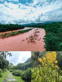 中科院•西雙版納熱帶雨林攻略