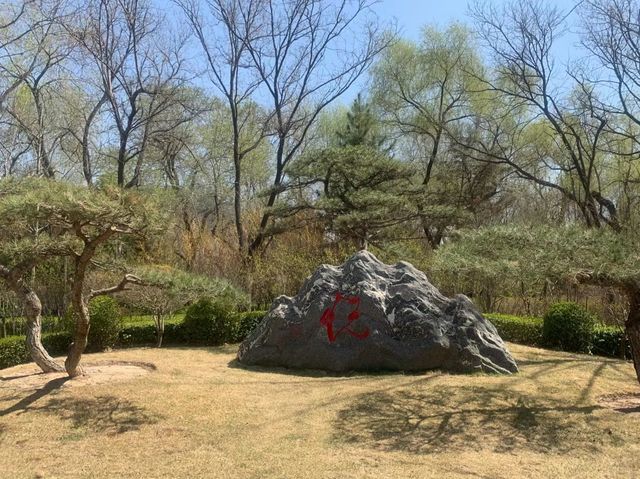 太原公園賞花→迎澤公園