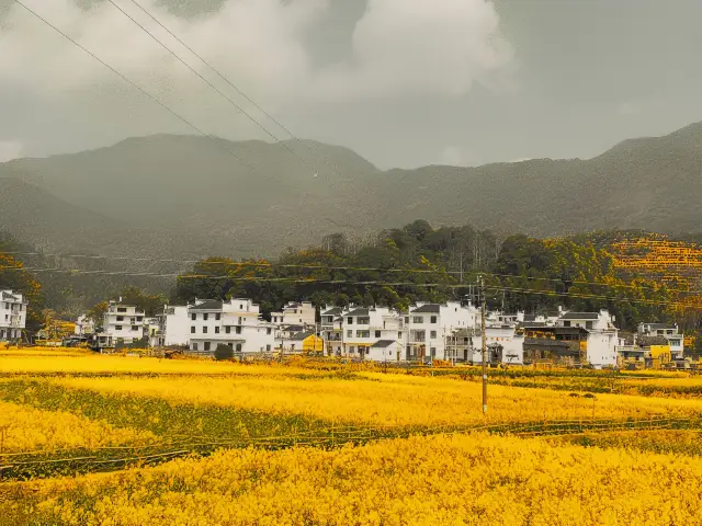 Wuyuan Yantian is not just about the beauty of ancient villages! Hey, friends!