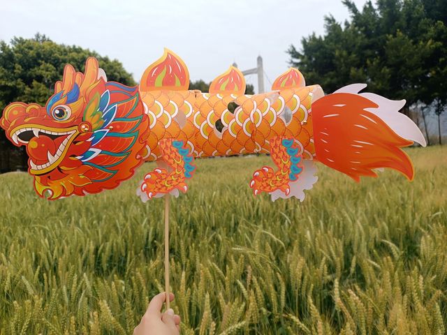 福州花海公園春天裡的風吹麥浪