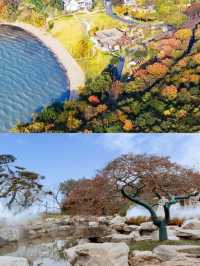 太湖植物園，限時免費八天，趕緊衝