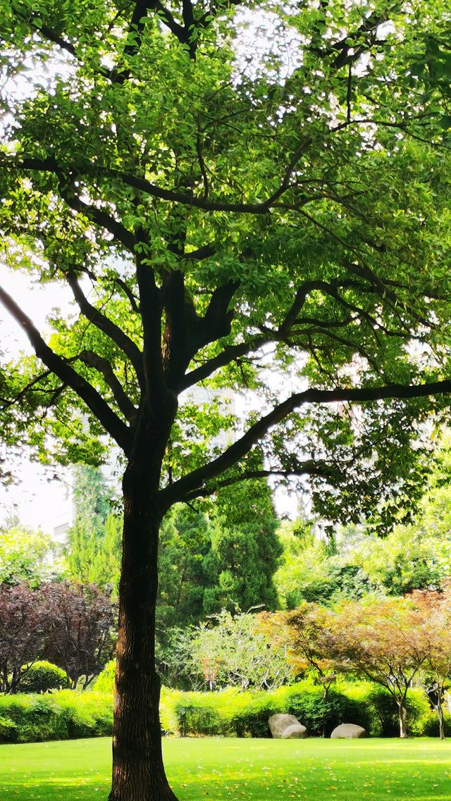 淮海公園：由外國人公墓改建而來的公園