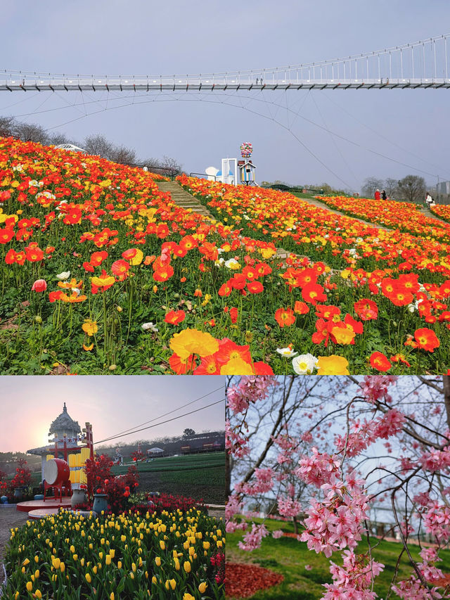 城市中的浪漫打卡地——成都漫花庄園！