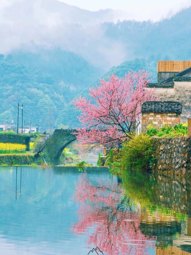 雲瀰漫茶山，安徽小眾景點休寧金龍山雲上茶園裡度假酒店