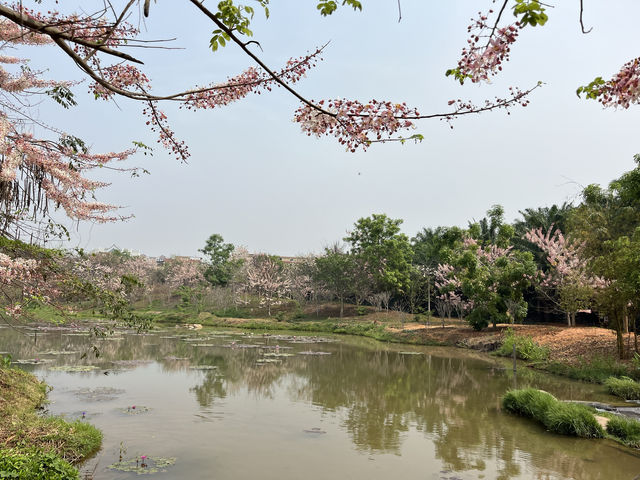 西雙版納熱帶花卉園