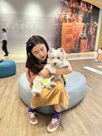 琴澳一起同萌友來PetPetParty