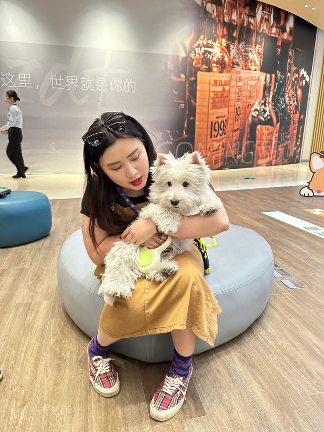琴澳一起同萌友來PetPetParty