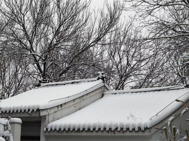 鼓樓的雪