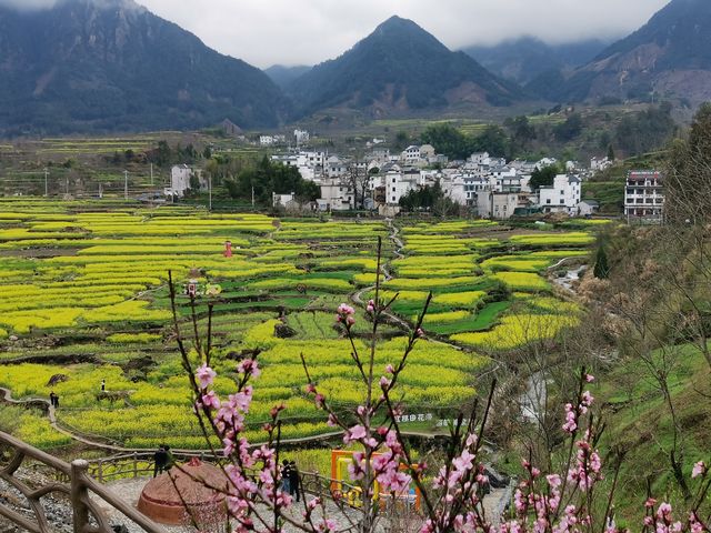 家朋鄉，隸屬於安徽省宣城市績溪縣，地處績溪縣東北隅，距縣城42公里，介於兩省（皖浙）三縣市（績溪縣、寧國市、臨安市）交匯處，轄8個村民委員會，68個自然村，99個村民小組