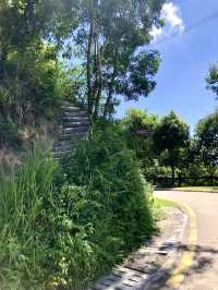 銀湖山郊野公園