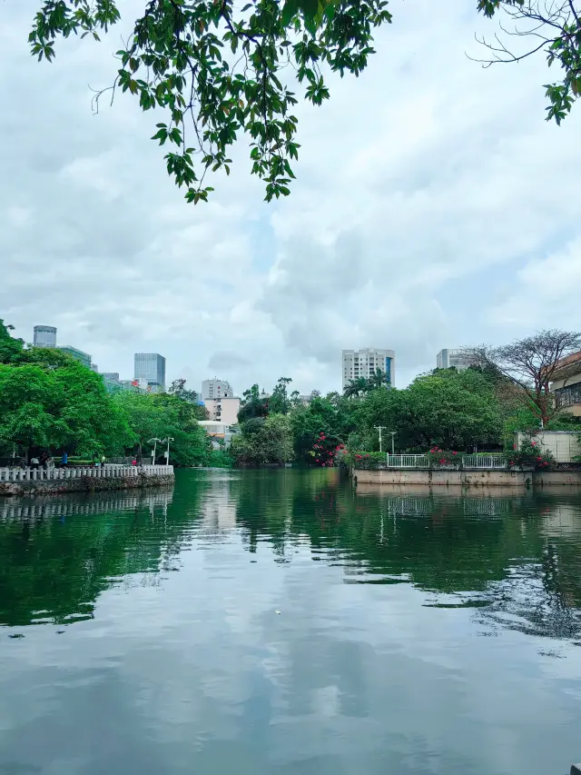 深センのライチ公園