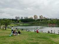 這個城央公園，遛娃撒野好去處