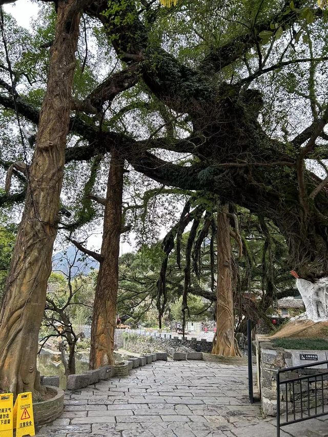 廣西黃姚古鎮：有山有水好風光