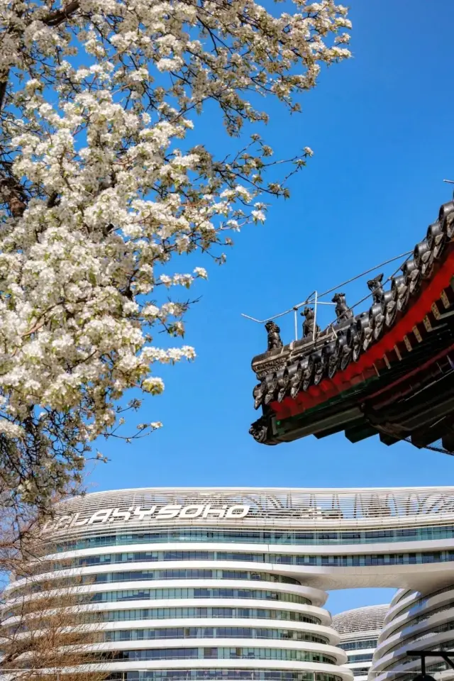 Beijing CityWalk's 'Pear Blossom' Ceiling at 'Zhihua Temple'