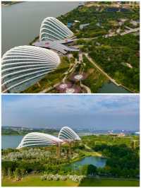 世界上最大的溫室花穹——濱海灣花園
