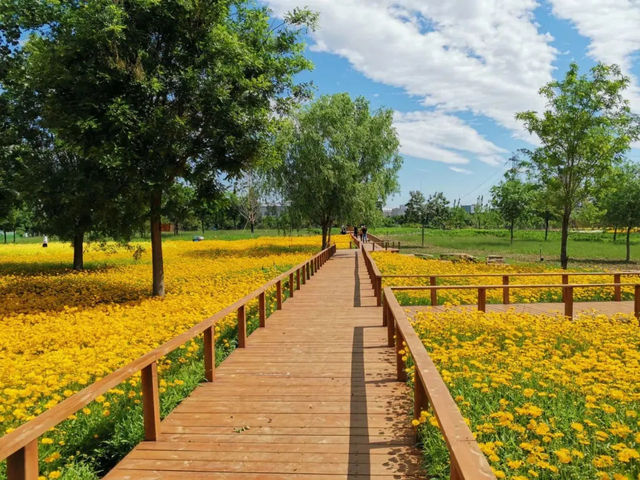 Yizhuang New Town Riverside Forest Park 🌿🦆