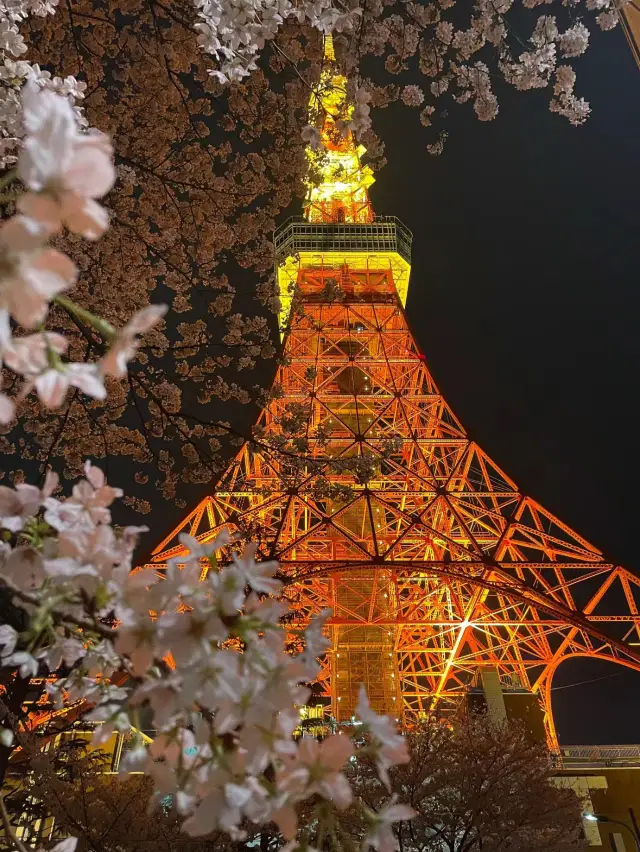 Tokyo Tower is stunning 🗼🇯🇵🌸