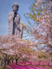 五一旅行隨性逛，東京周邊一日遊！