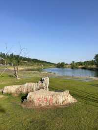雁丘園｜太原新地標，感受元好問“千古一問”