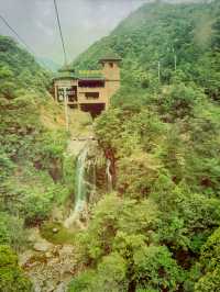 龍泉山絕壁奇松--媲美黃山