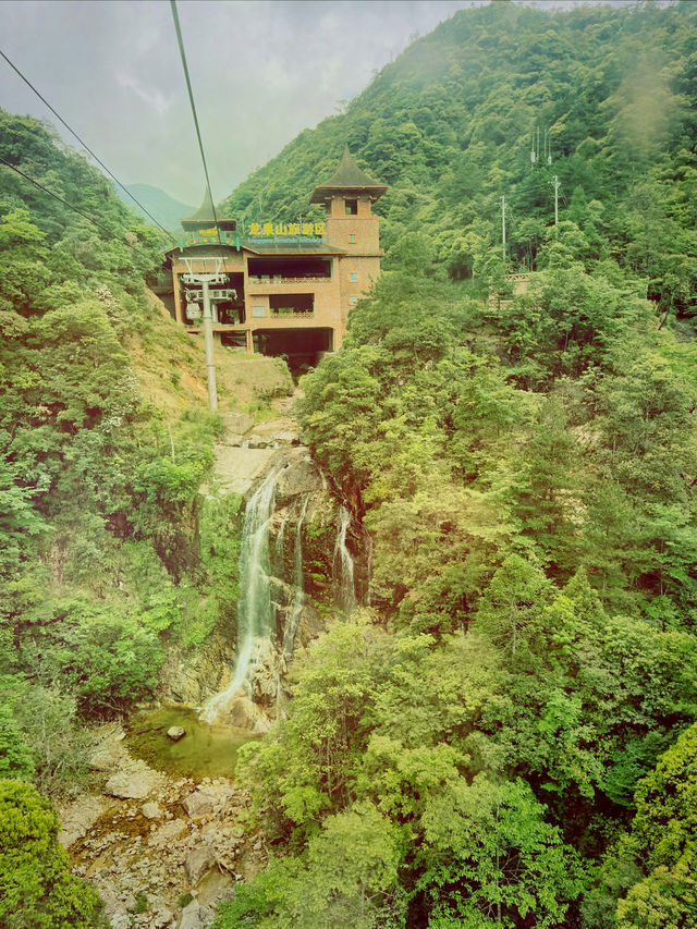 龍泉山絕壁奇松--媲美黃山