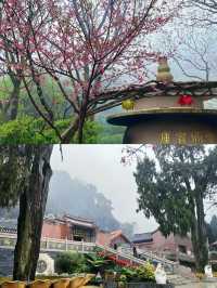 梅州上古歷史寺廟|靈光寺
